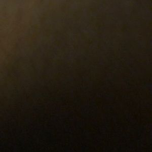 Meet your Posher, Suzanne